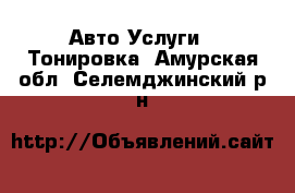 Авто Услуги - Тонировка. Амурская обл.,Селемджинский р-н